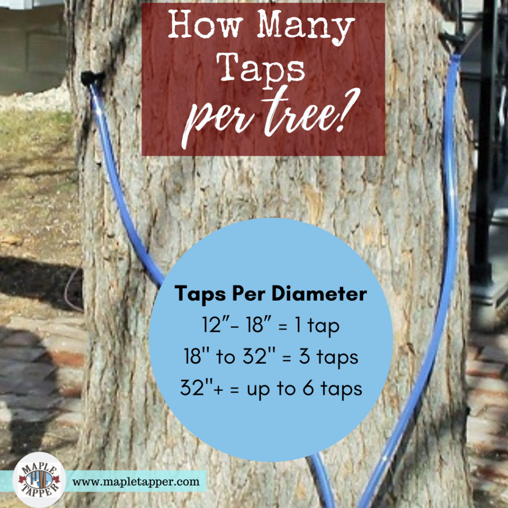guide to amount of taps per tree by diameter