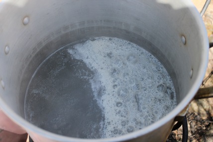 beginning stages of boiling maple sap. Foamy top inside large metal kettle.